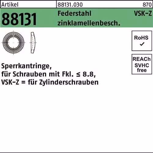 Anelli circolari Reyher VSK-Z 88131, FVSKZ 10 flZn 881310300100000 (500 pezzi)