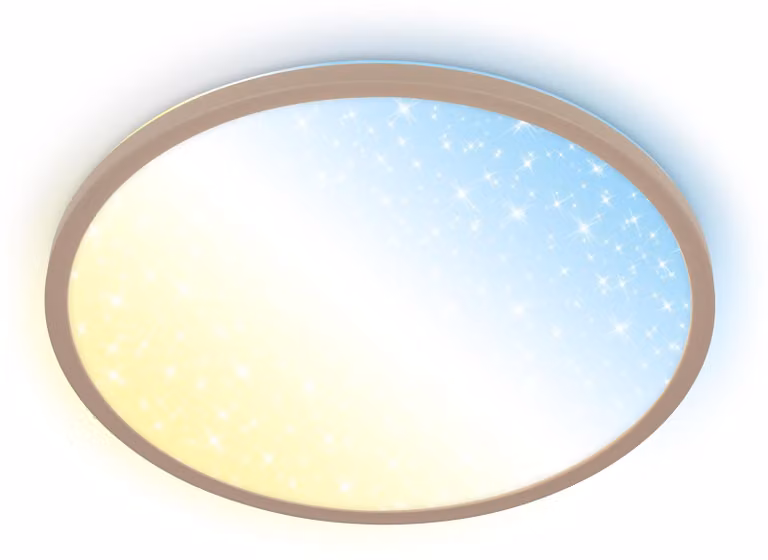 Lampada da soffitto a LED Lampada da soffitto per soggiorno Dimmerabile Telecomando CCT