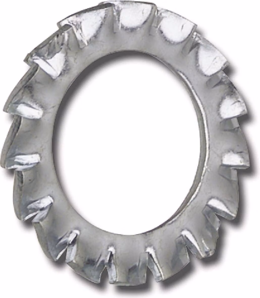 Rondella dentata con denti esterni ø M12, rondelle di sicurezza DIN6798A, acciaio zincato