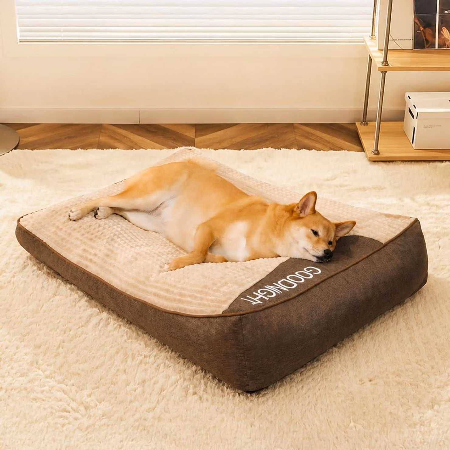 Cuccia ortopedica per cani, dimensioni: lunghezza 100 cm, larghezza 75 cm, altezza 21 cm, colore marrone
