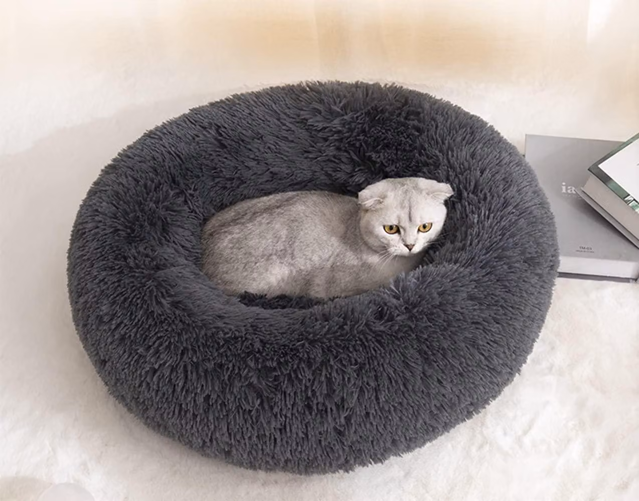 Cuccia rotonda per cani, morbida, a forma di ciambella, adatta a cani di piccola taglia fino a 10 kg, ideale come luogo di riposo