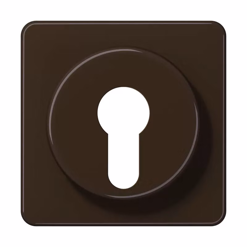Jung CD528BR Copertura per interruttore a chiave