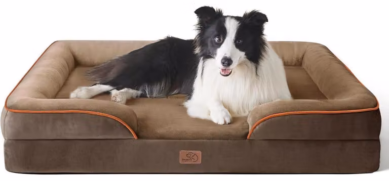 Cuccia ortopedica per cani, divano ergonomico per cani di medie dimensioni, 89x63 cm, realizzata con schiuma a densità variabile, lavabile, antiscivolo, color marrone