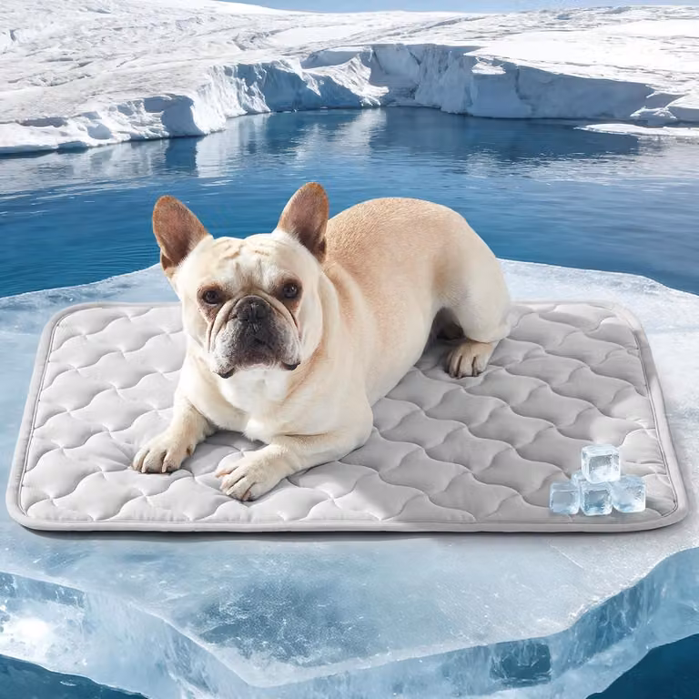 Tappetino refrigerante per cani, auto-raffreddante, lavabile, grigio, 65x50 cm