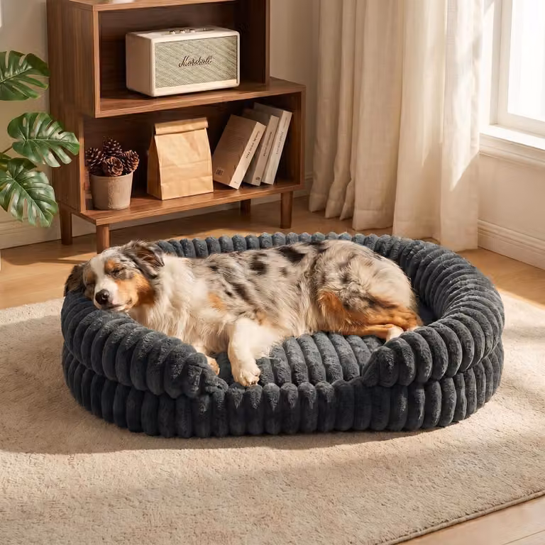 Omgoods - Cuccia ortopedica per cani di grossa taglia, realizzata in memory foam