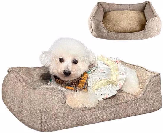 Cuccia per cani di piccola taglia, cuccia antiscivolo 61×48×18 cm, cuccia morbida, divanetto per cani con doppio cuscino per cani e gatti, marrone