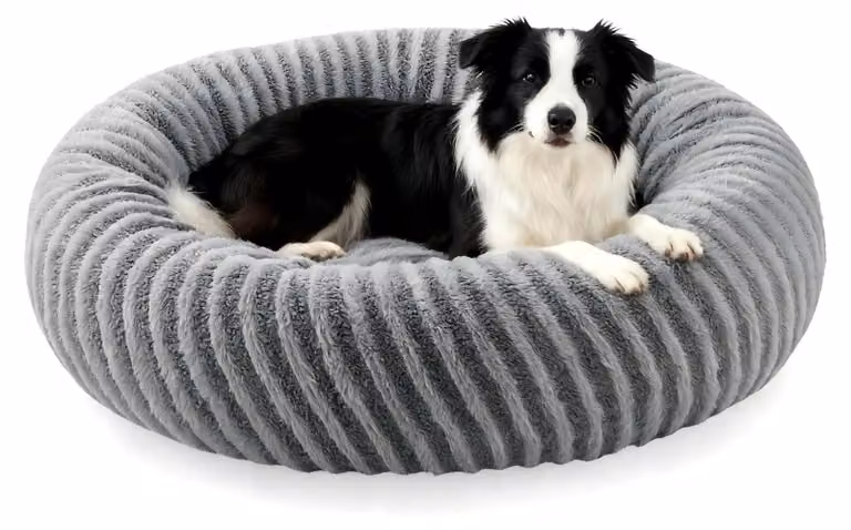 Cuccia morbida e confortevole per cani di piccola e media taglia