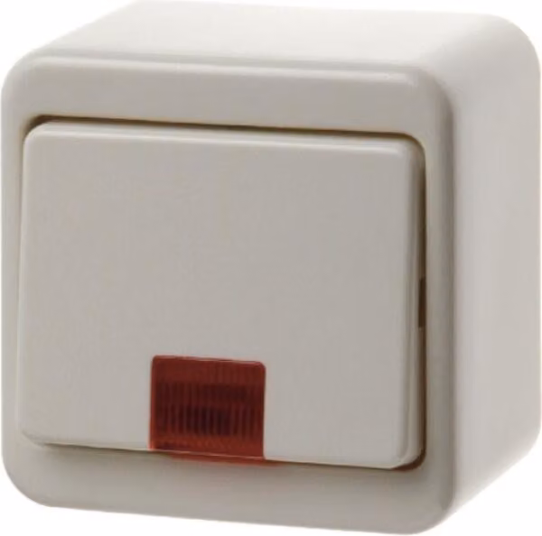 Berker 50069940 Interruttore a bilanciere con 5 lenti chiuse bianco, montaggio a superficie lucido