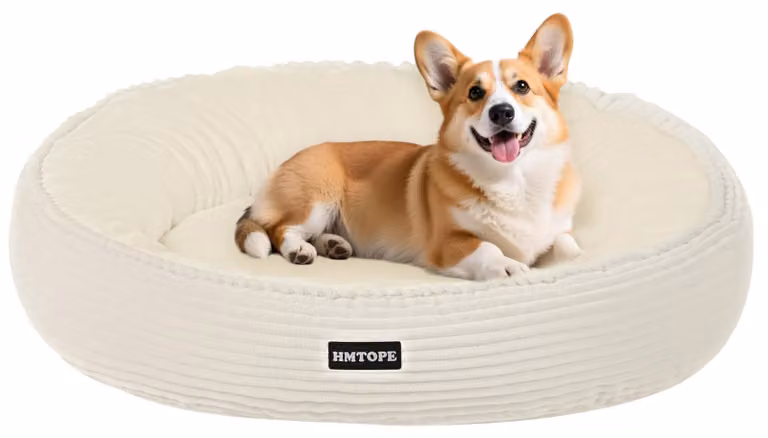 Cuccia per cani, forma a ciambella, diametro 70 cm, lavabile, antiscivolo, color beige, adatta ai cani