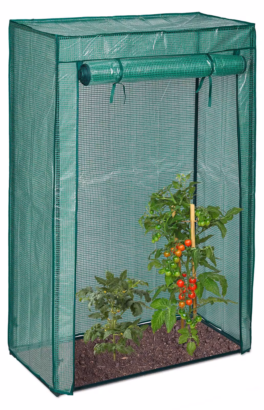 3 serre per pomodori, giardino, balcone, serra in plastica per pomodori, HBT 150x100x50 cm, acciaio e pellicola in PE, verde