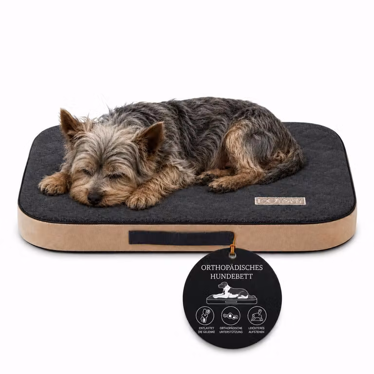 Materasso ortopedico per cani DOTTY, modello S, 60x45 cm. Cuccia per cani lavabile, realizzata con schiuma memory VISCO, certificata OEKO TEX Standard 100