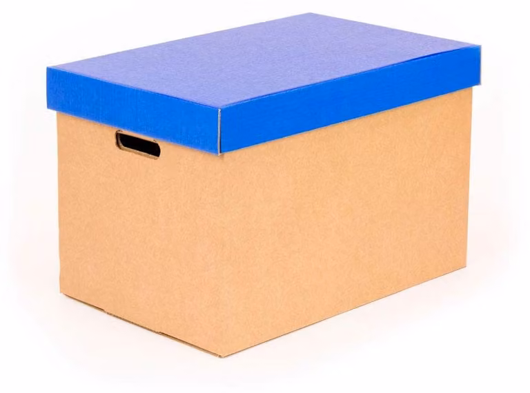 Set di 2 scatole di stoccaggio con coperchio - Robuste scatole di cartone blu