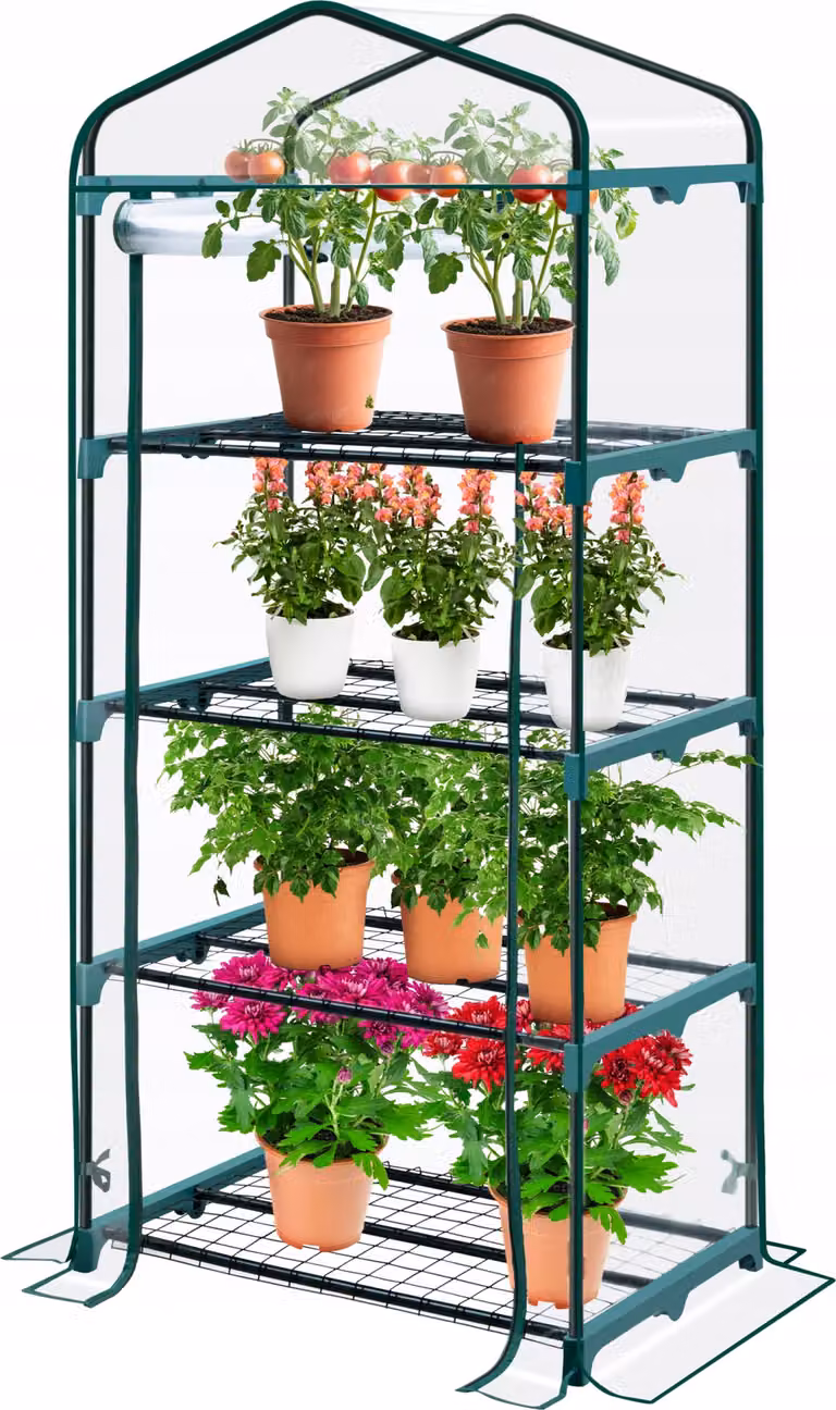KANWOD Serra da giardino trasparente a 4 ripiani con porta avvolgibile, 158x68x50 cm