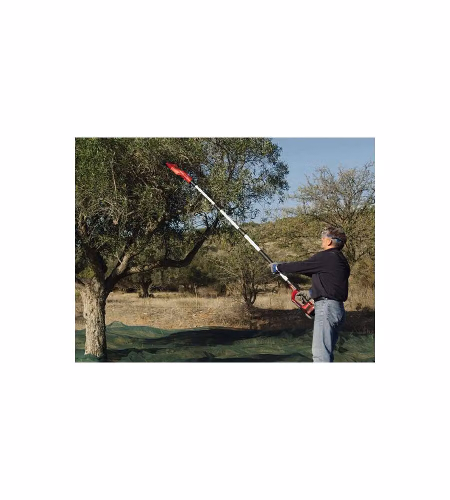 Abbacchiatore a batteria Einhell GE-FS 18-53 Li-Solo con asta telescopica 220-310 cm e pettine regolabile 28-53 cm, colore Nero Rosso – 2