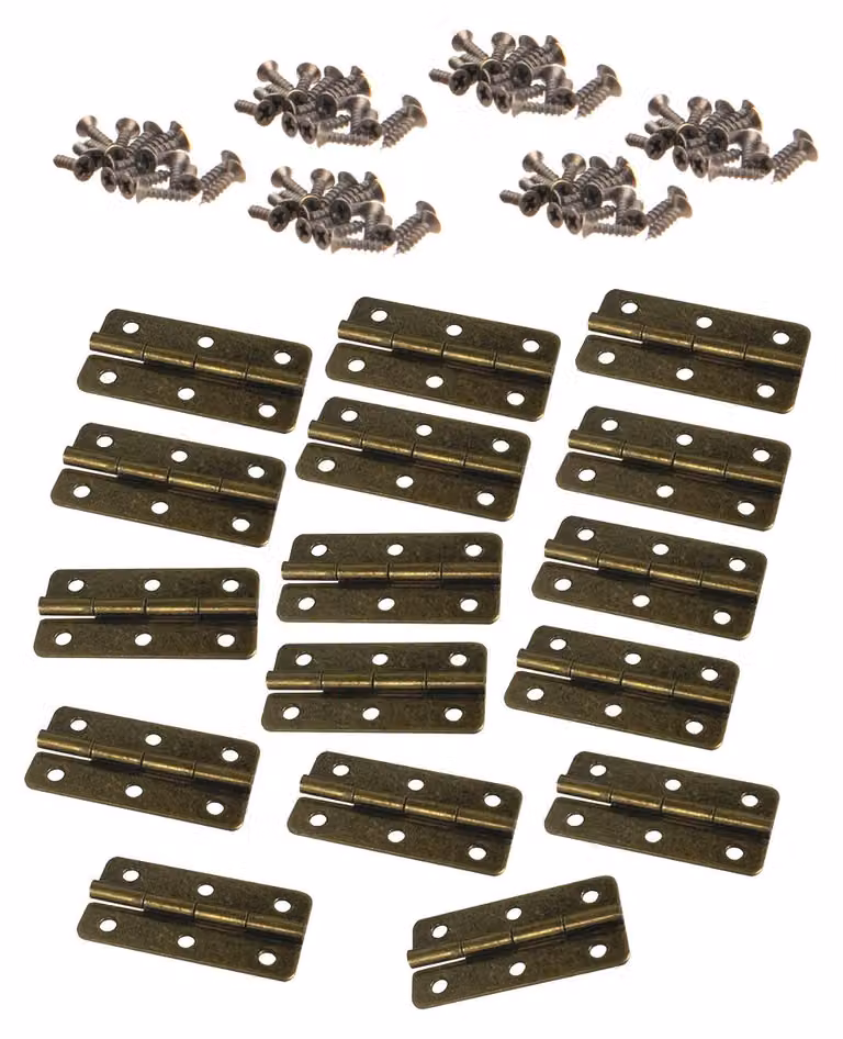 Set di 16 cerniere in bronzo (20x40 mm, viti incluse)