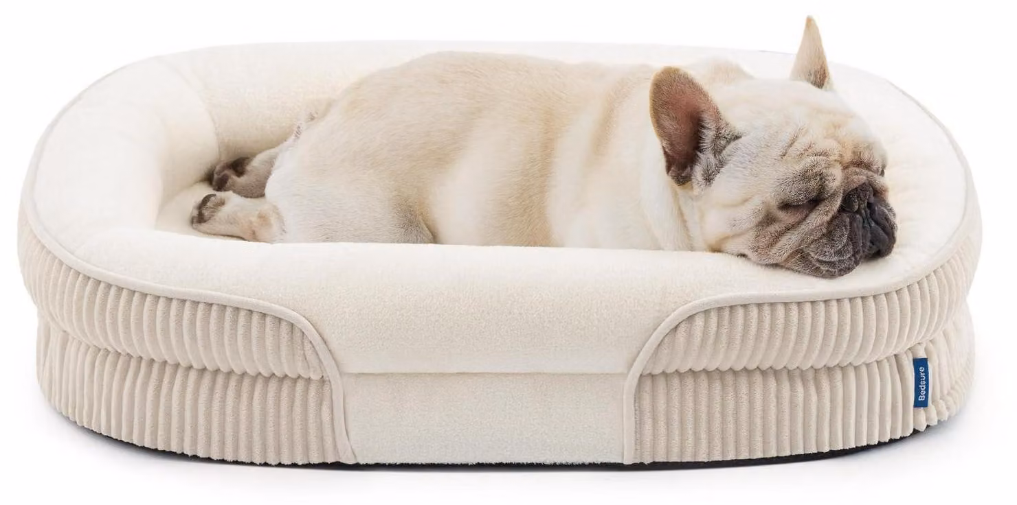 Cuccia ortopedica per cani, dimensioni 76x51x17 cm, colore crema, con rivestimento impermeabile e base antiscivolo