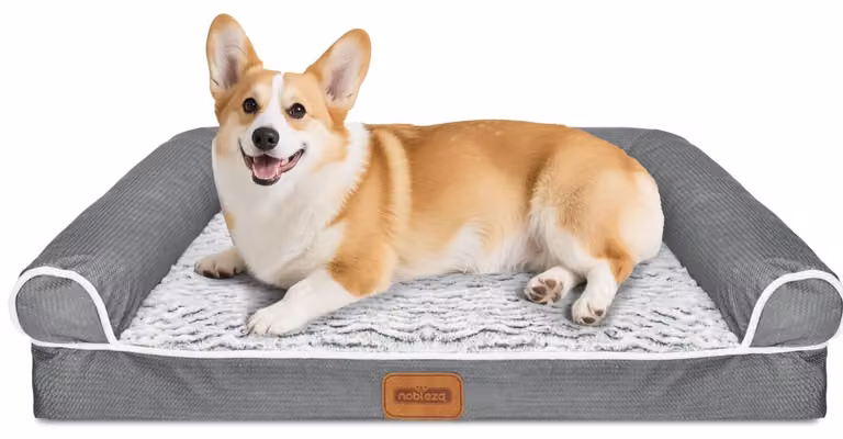 Cuccia ortopedica per cani, con memory foam, di dimensioni extra large