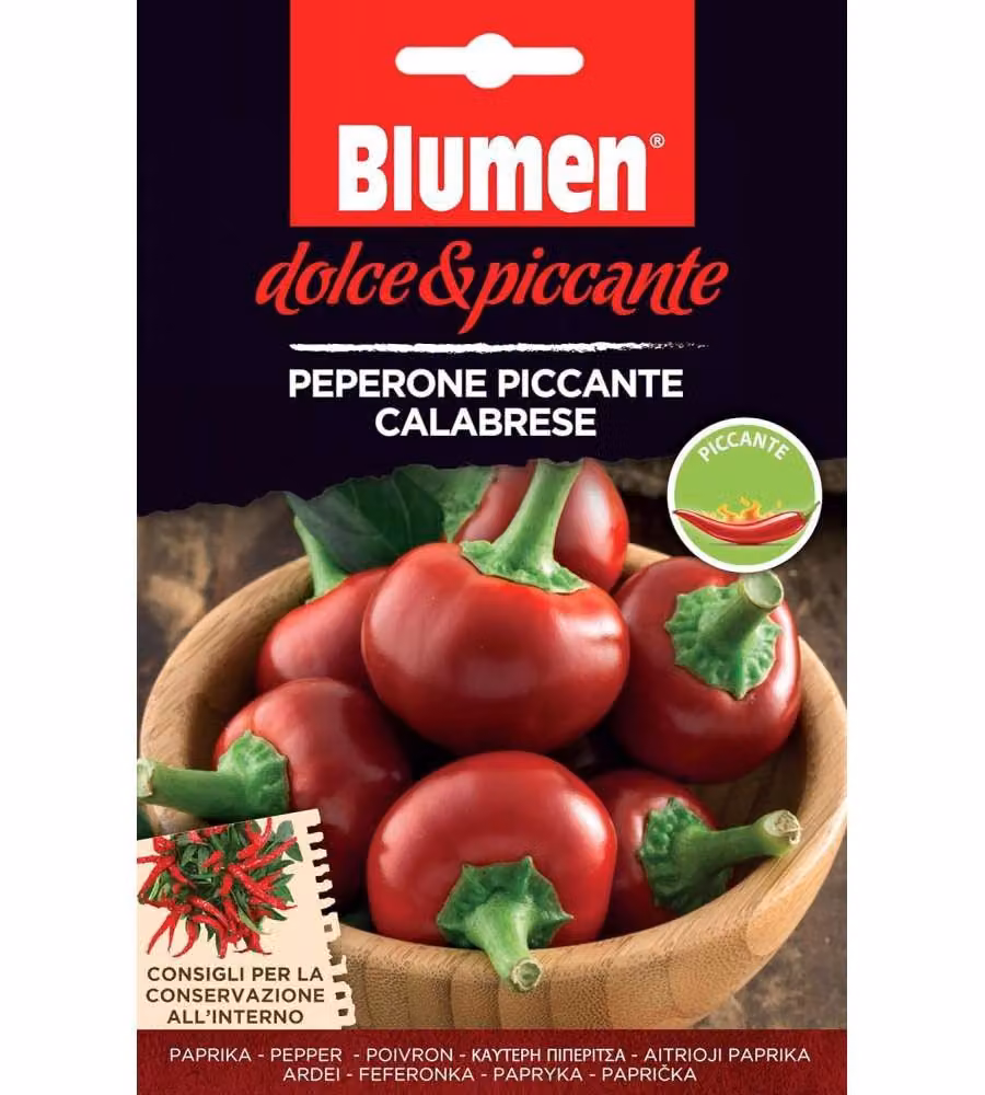 Semi di peperoncino piccante calabrese