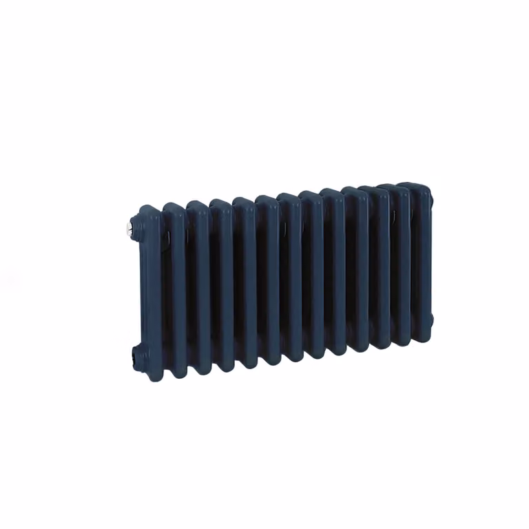 Radiatore Orizzontale a Colonne (2 Colonne) 300mm x 605mm - Blu (Deep Sea Blu) - Regent
