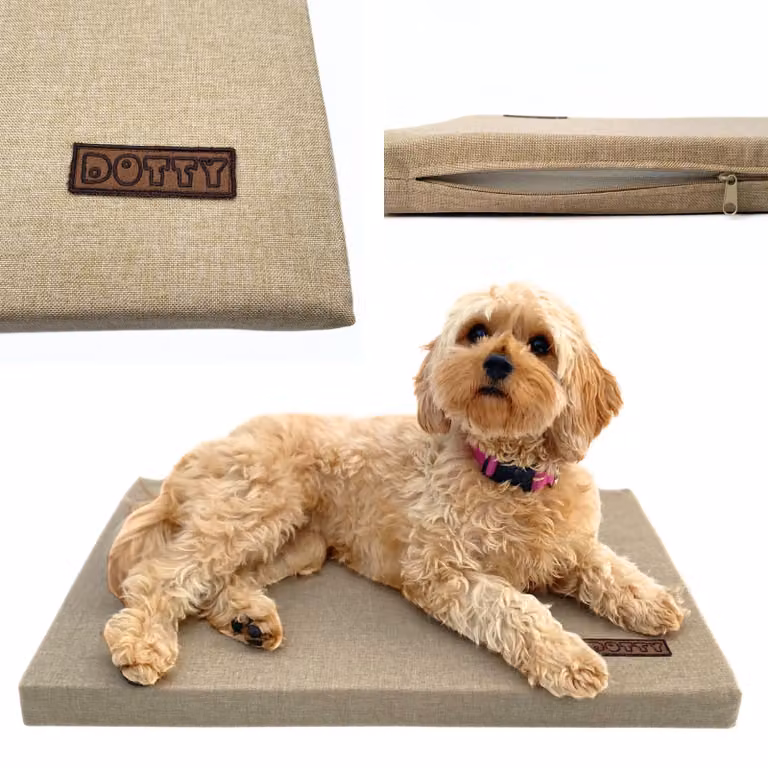 Tappetino per cani DOTTY S 60x40 cm beige – comoda cuccia per cani di piccola taglia, tappetino da viaggio per auto e trasportino, idrorepellente, resistente e lavabile