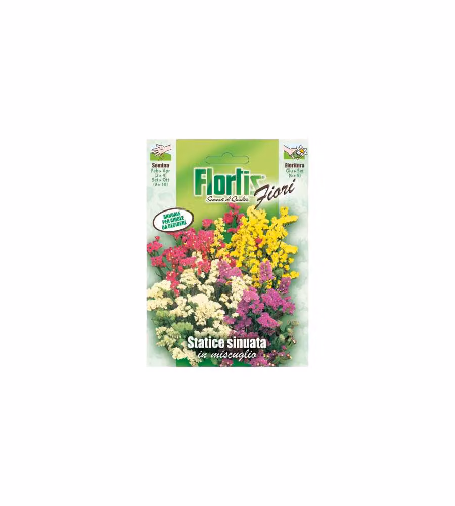 Semi di Statice Sinuata Mix - Bustina Semi di Fiori da Recidere Colori Assortiti