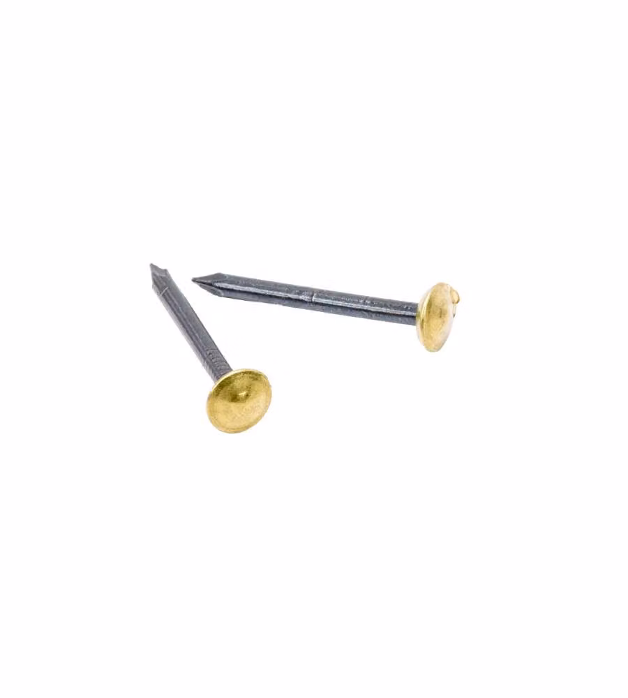 Sacar Chiodi in Acciaio Testa Rivestita Ottone 2x25 mm per Fai Da Te