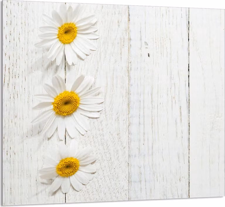 GLASPLATTE FÜR KÜCHE 65x60 Holz