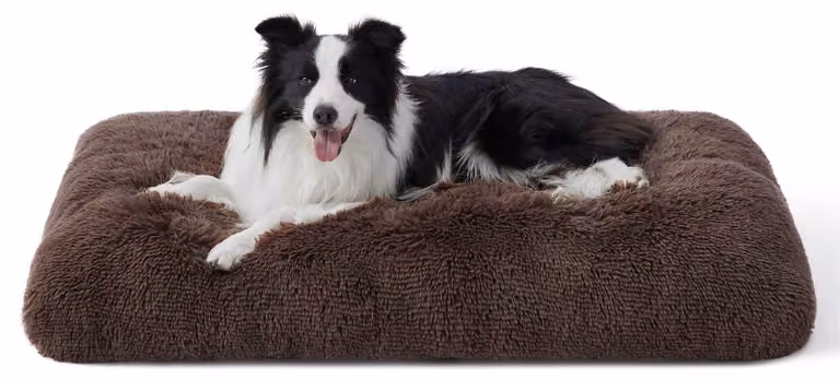 Materassini imbottiti per letti da cani, adatti a cani di grossa taglia, lavabili e confortevoli