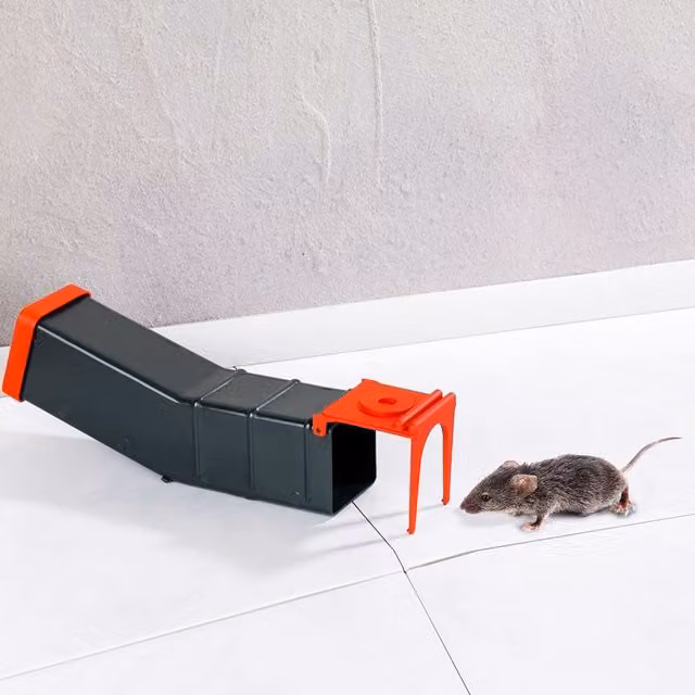 Trappola per topi Wenko riutilizzabile in plastica, trasparente e nera, L: 24 cm, P: 6 cm, H: 6 cm