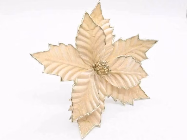 Fiori dell'albero di Natale - Stella di Natale Champagne su spiedino H 28 cm Fi 20 cm
