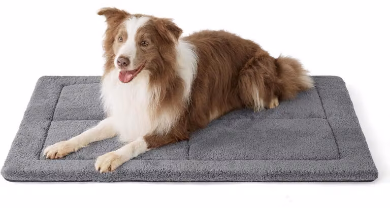 Tappetino lavabile per cani di grossa taglia, dimensioni 104x69 cm, in pile di Sherpa con imbottitura in schiuma, colore grigio