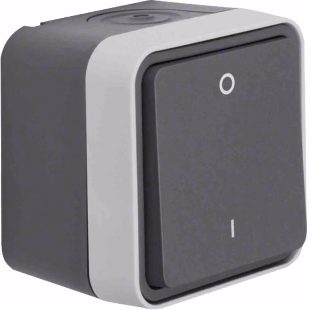 Interruttore automatico Berker 30723505