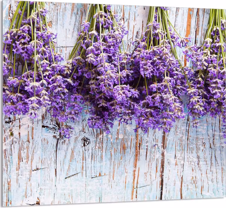 PIASTRELLE IN VETRO PER CUCINA 65x60 Lavanda