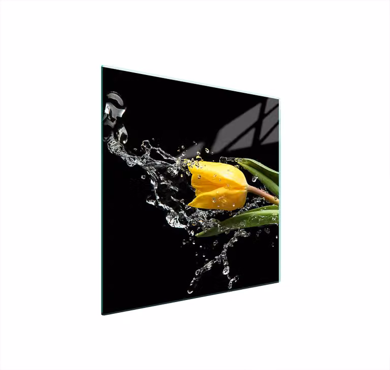 Piastra Di Protezione In Vetrina Per Levatori 50X52 Tulpe