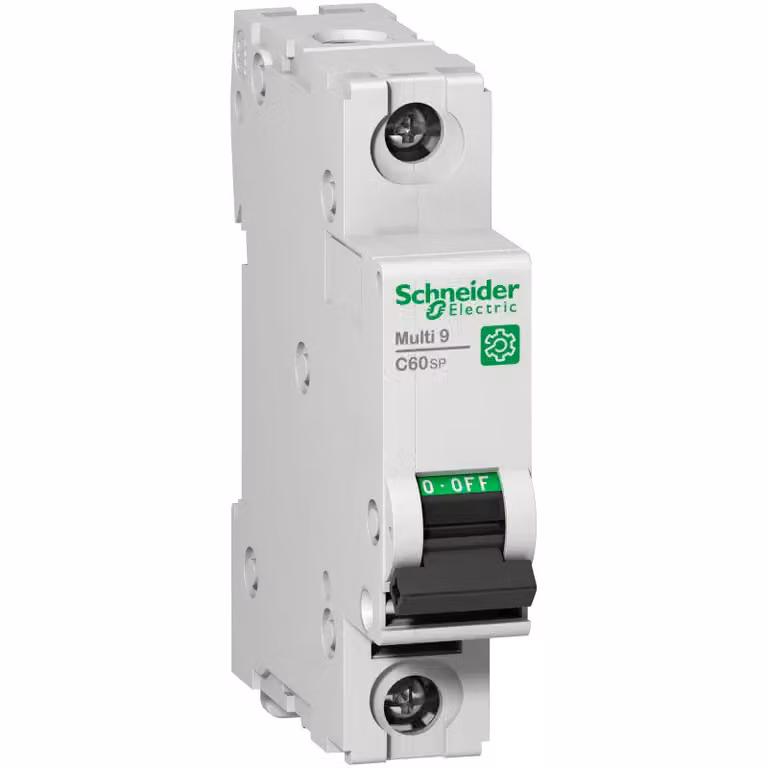 Interruttore LS Schneider Electric M9F21102