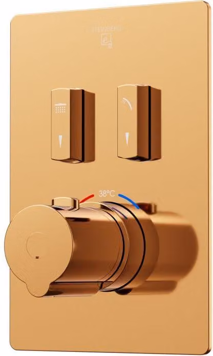 Steinberg Série 390 Set de montage final, pour thermostat encastré 1/2, slidetronic, pour 2 consommateurs, 39049233RG, 39049233RG