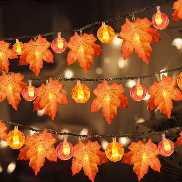 Catena luminosa a LED per l'autunno, con 20 LED bianco caldo, lunghezza 3 metri, alimentazione a batteria