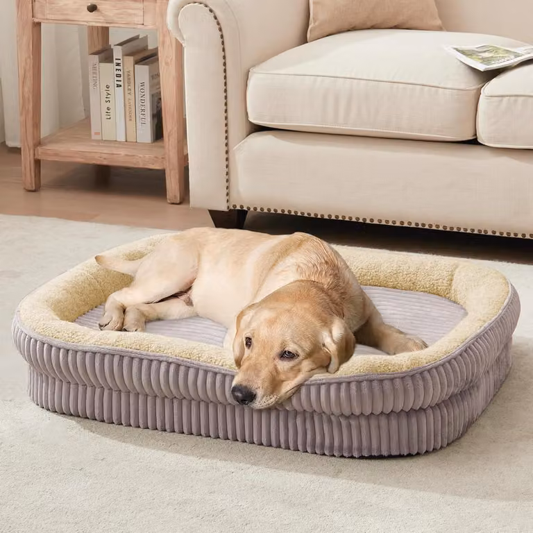 Cuccia ortopedica per cani di taglia media e grande, divano per cani realizzato in schiuma ad alta densità con cuscino su quattro lati, cuccia per animali domestici, con rivestimento removibile