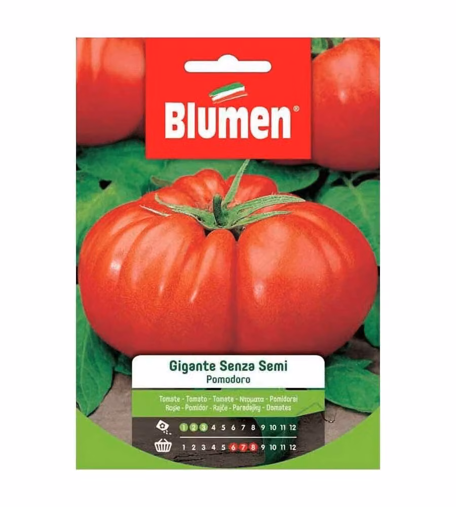 Blumen Sementi Pomodoro Gigante Senza Semi Rosso - 700g - Pianta Alta