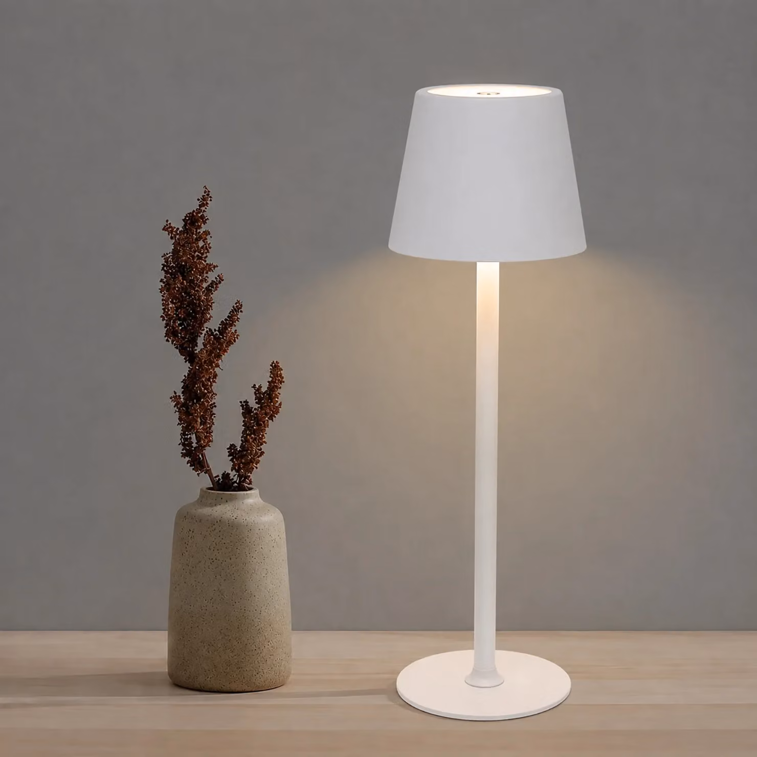 DICTROLUX Lampada da Tavolo LED Penelope Touch Bianca Dimmerabile Cordless USB – 2