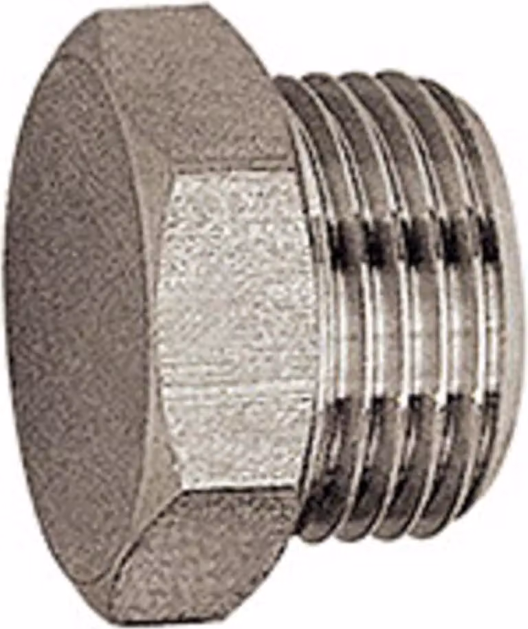 Tappo a vite Riegler, esagono esterno, G 1, SW 38, ES 1.4571
