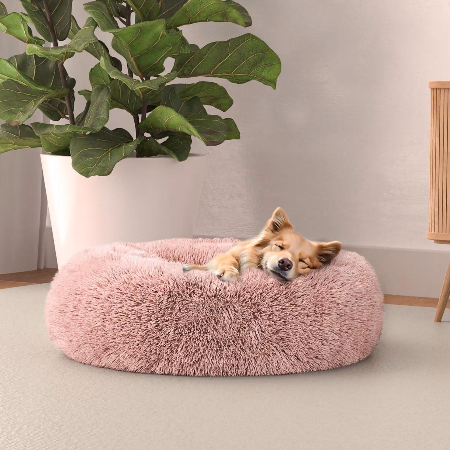 Cuccia per cani Dreams, 50x50 cm, con bordi rialzati