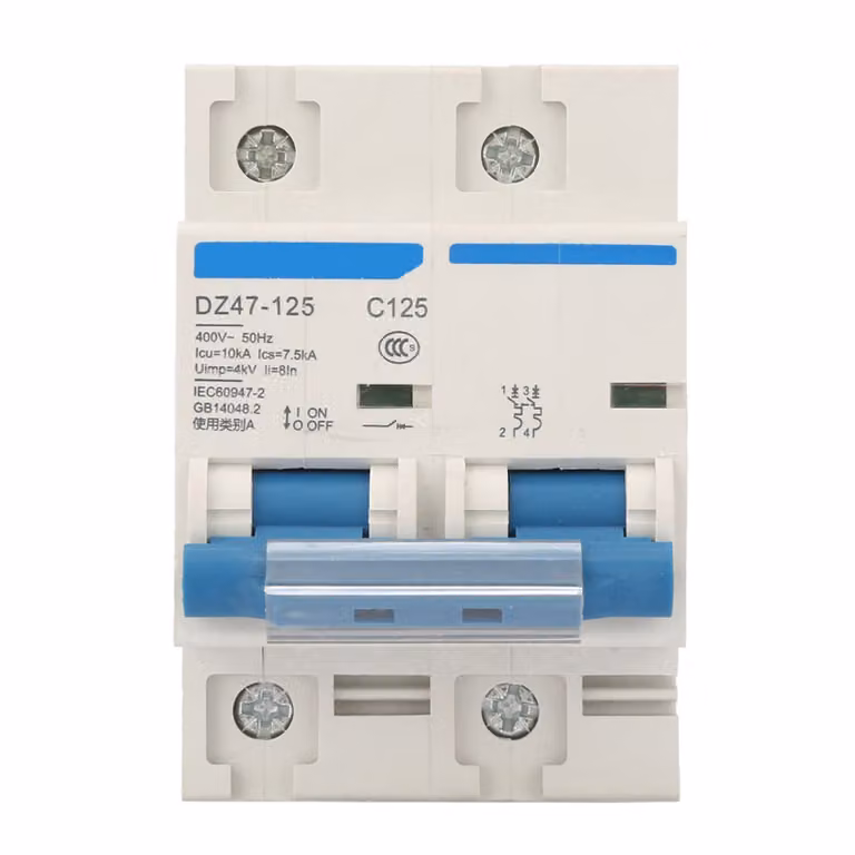 Interruttore differenziale 400 V 80/100/125 A DZ47-125 2P Interruttore magnetotermico miniaturizzato (125 A)