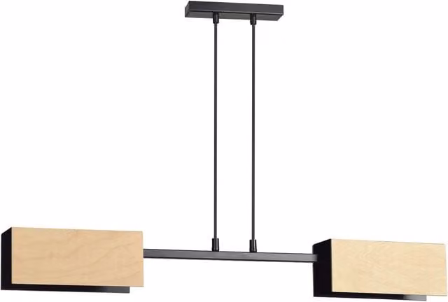 Lampadario a sospensione minimalista Luceart-Classic Potter in acciaio inossidabile nero con 2 luci E27