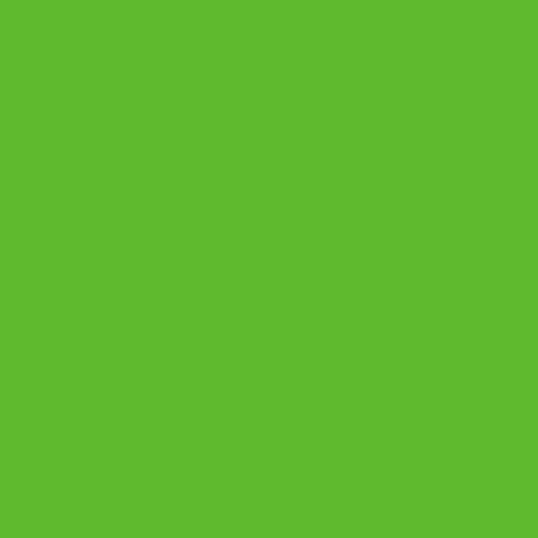 plottiX Pellicola vinilica permanente verde chiaro 31,5 cm x 1,0 m, 1 rotolo
