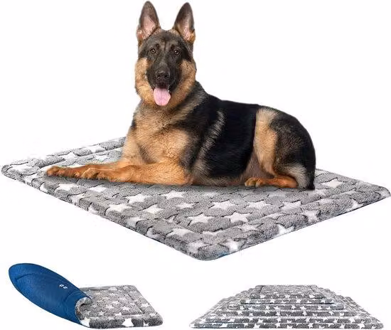 Cuccia reversibile per cani 122x76 cm, grigio e blu, in schiuma ad alta densità