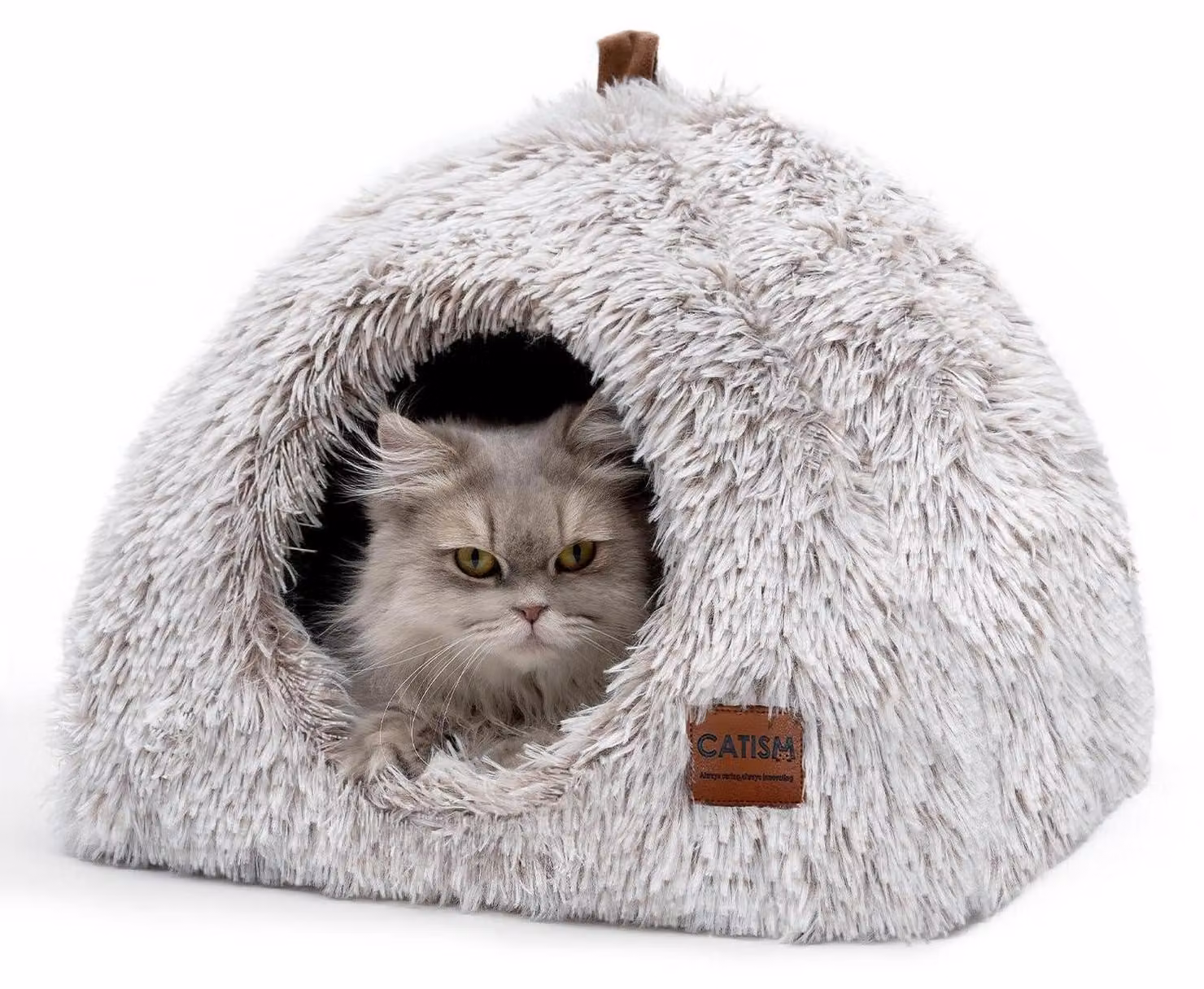 Cuccia per gatti a forma di igloo, 2-in-1, lavabile, con cuscino removibile, dimensioni 40x40x36,9 cm