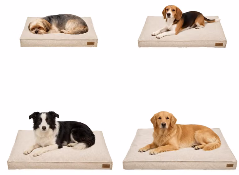 Cuccia per cani, tessuto di lino, rivestimento removibile, color beige, taglia XL - 103x69x10 cm