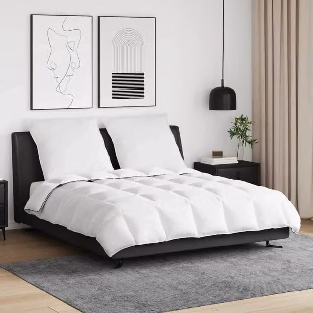 Set di 3 pezzi Duvet Invernale e Cuscini vidaXL in Cotone Bianco con Piuma d'Anatra