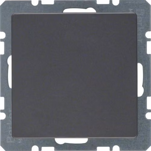 Piastra di tranciatura Berker anth/sa 10096086